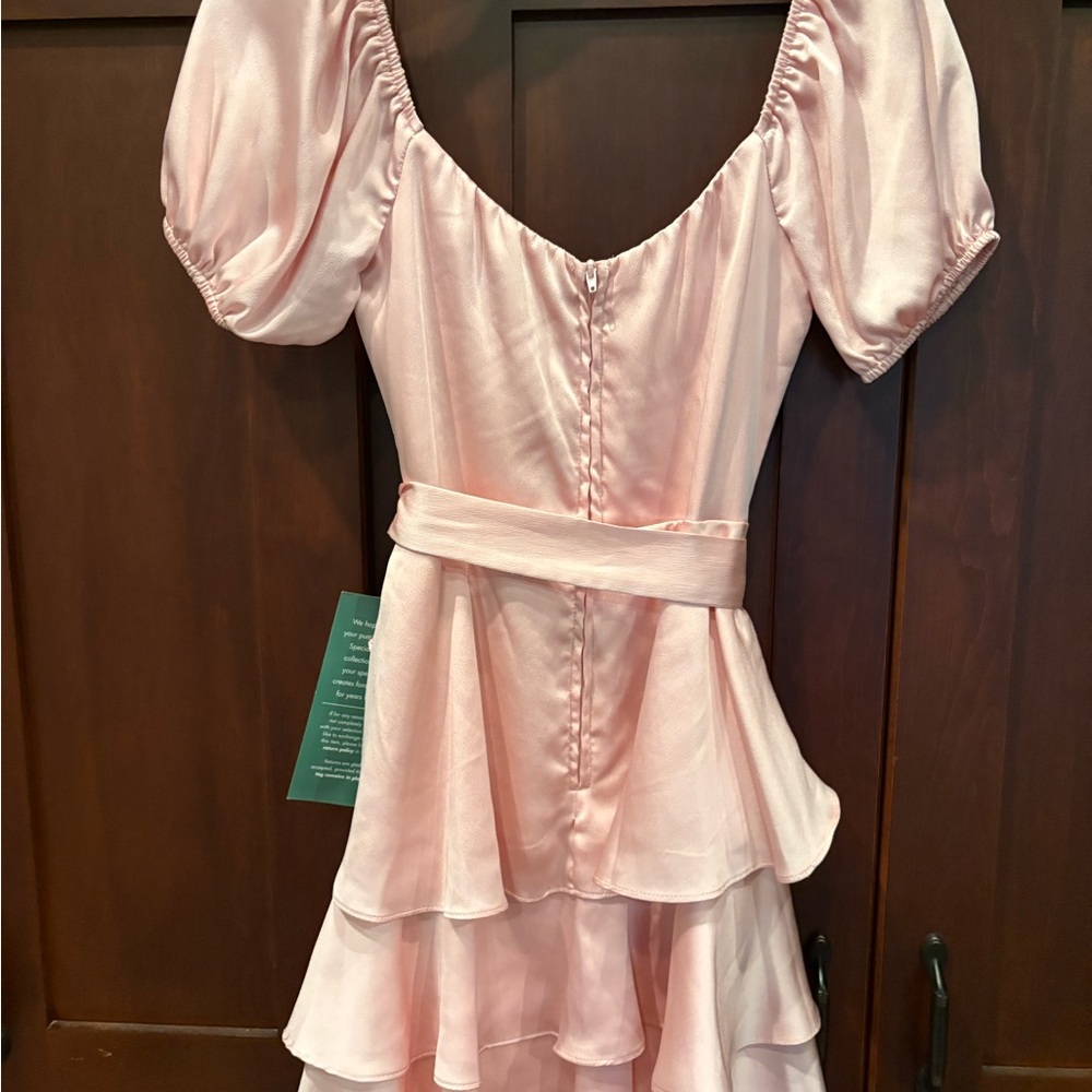 B. Smart Soft Pink Dress